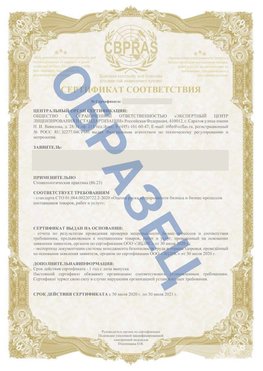 Образец Сертификат СТО 01.064.00220722.2-2020 Воскресенск Сертификат СТО 01.064.00220722.2-2020 